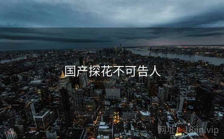 国产探花不可告人