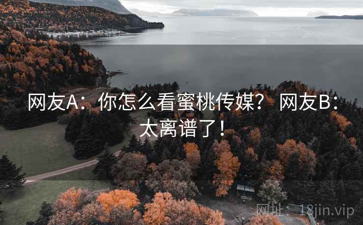 网友A:你怎么看蜜桃传媒? 网友B:太离谱了! 网友A:你怎么看蜜桃传媒? 网友B:太离谱了!