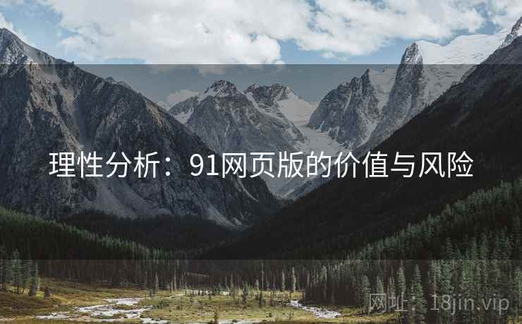 理性分析：91网页版的价值与风险
