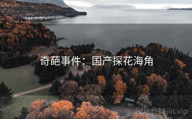 奇葩事件：国产探花海角