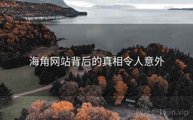 海角网站背后的真相令人意外