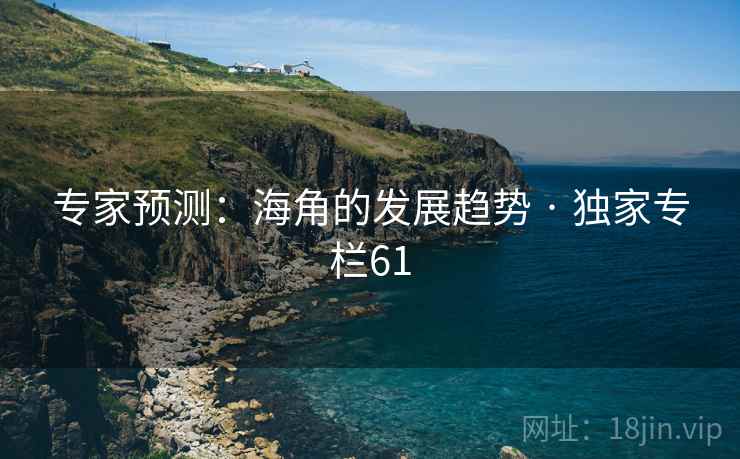 专家预测：海角的发展趋势 · 独家专栏61