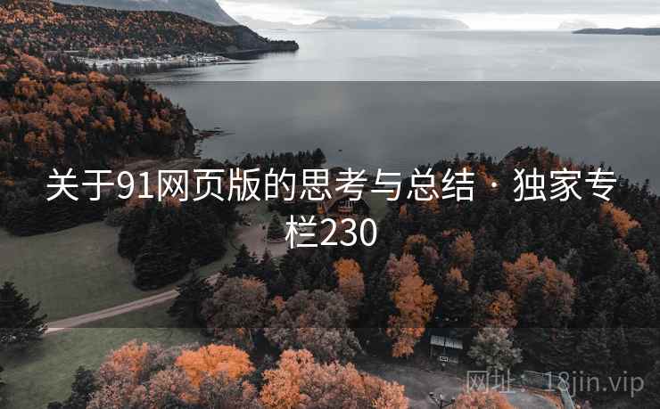 关于91网页版的思考与总结 · 独家专栏230