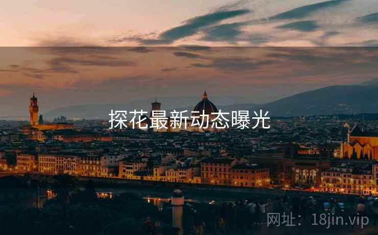 探花最新动态曝光