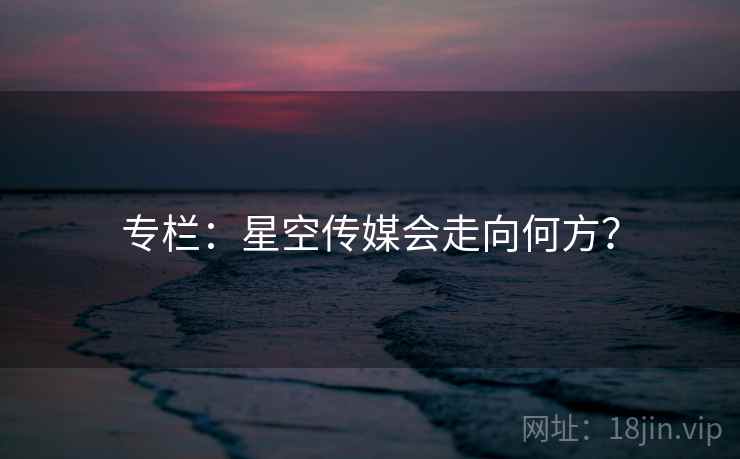 专栏：星空传媒会走向何方？